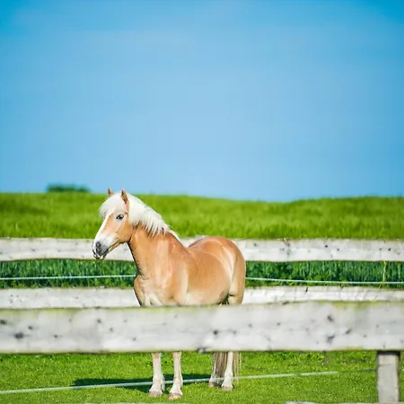 Апартаменты Petersen Гельтинг