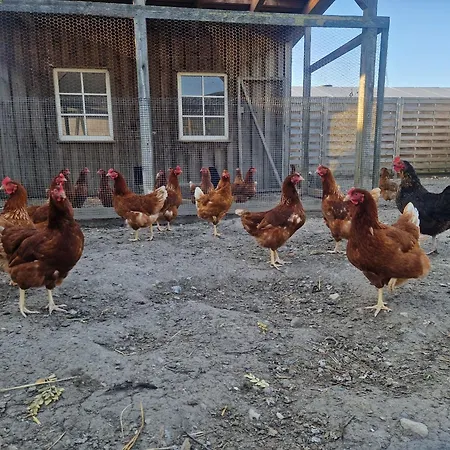 Апартаменты Petersen *